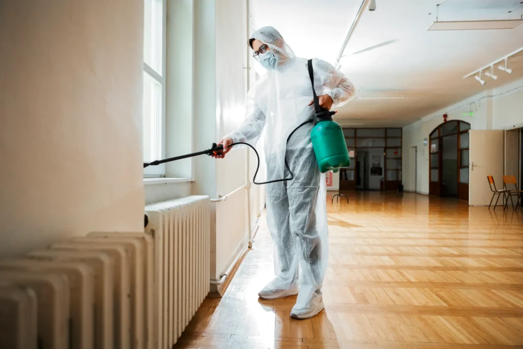 How Our Process Works - Belmont Best Pest Pros | Belmont, CA | 650-999-9628