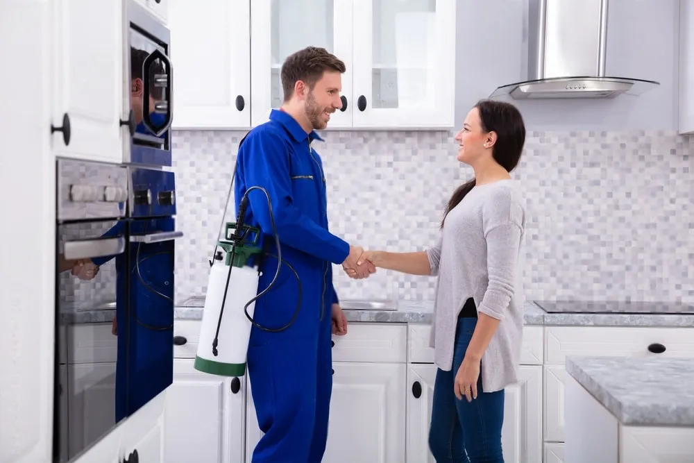 Pest Control Experts - Belmont Best Pest Pros | Belmont, CA | 650-999-9628