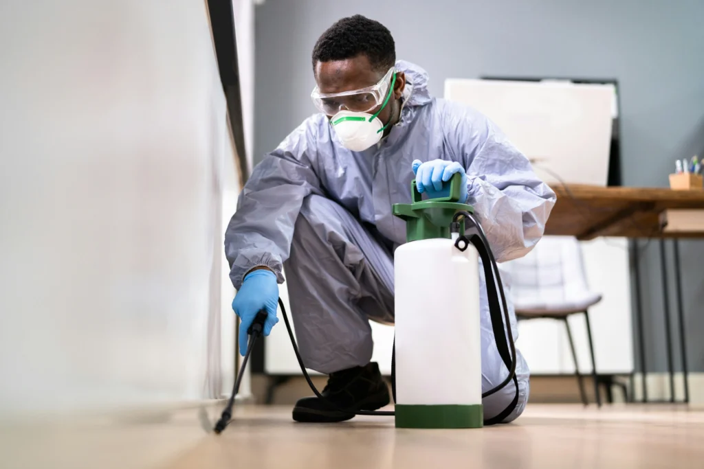 Trusted Pest Control - Belmont Best Pest Pros | Belmont, CA | 650-999-9628
